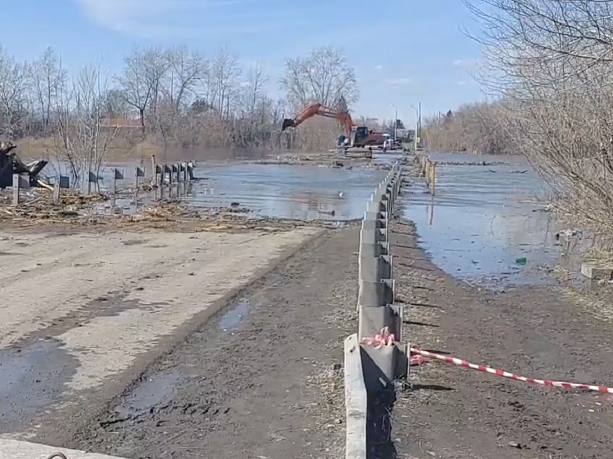 Опасный мусор. Как сотрудники МЧС борются с заторами под мостом в центре  Кургана? | РИА Новости | Дзен