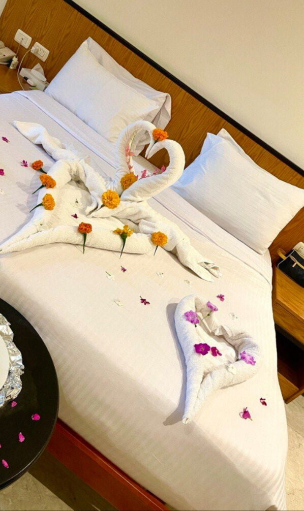 Лебеди, скрин фото из туристского чата