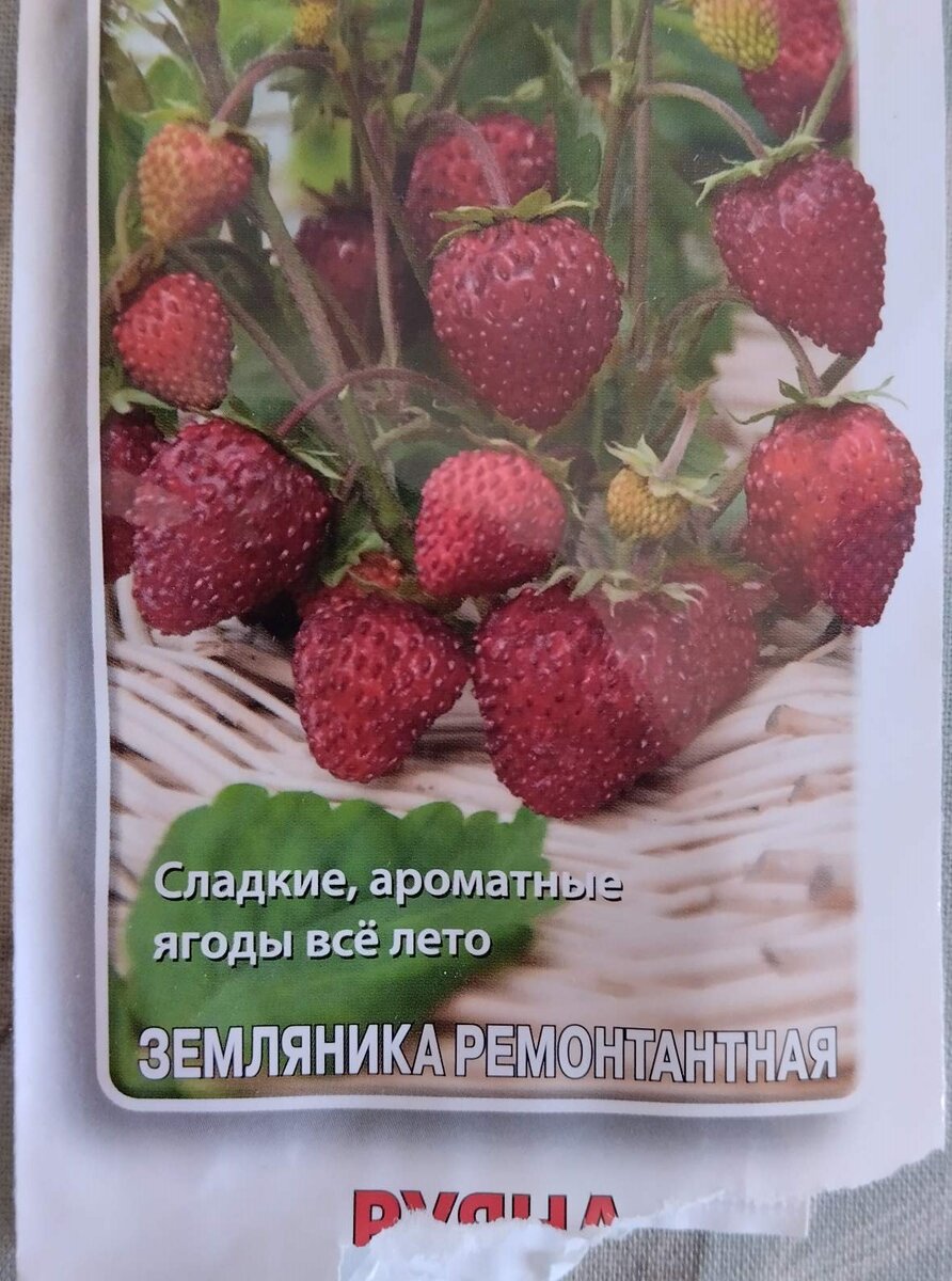 Вот с этого пакетика посадила, семян было достаточно много, но выросло у меня пока чуть больше десятка, надеюсь до высадки доживут все :)