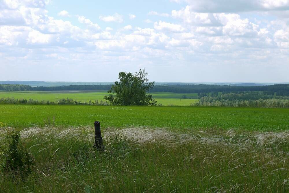 
Лысая гора. Фото: © Команда Кочующие, Хафизов Ахат
Предоставлено автором