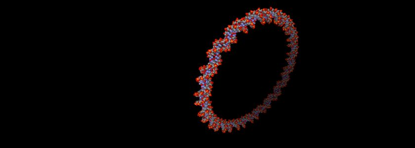 Иллюстрация: eu.idtdna.com