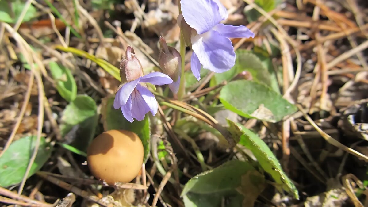     Источник: Таганай News / Telegram