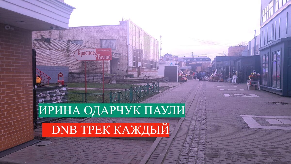 Обложка Ирины Одарчук Паули