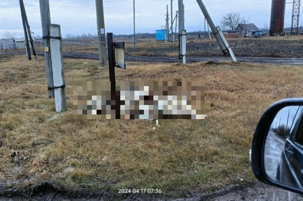    Омские дачники нашли целую гору мёртвых косуль