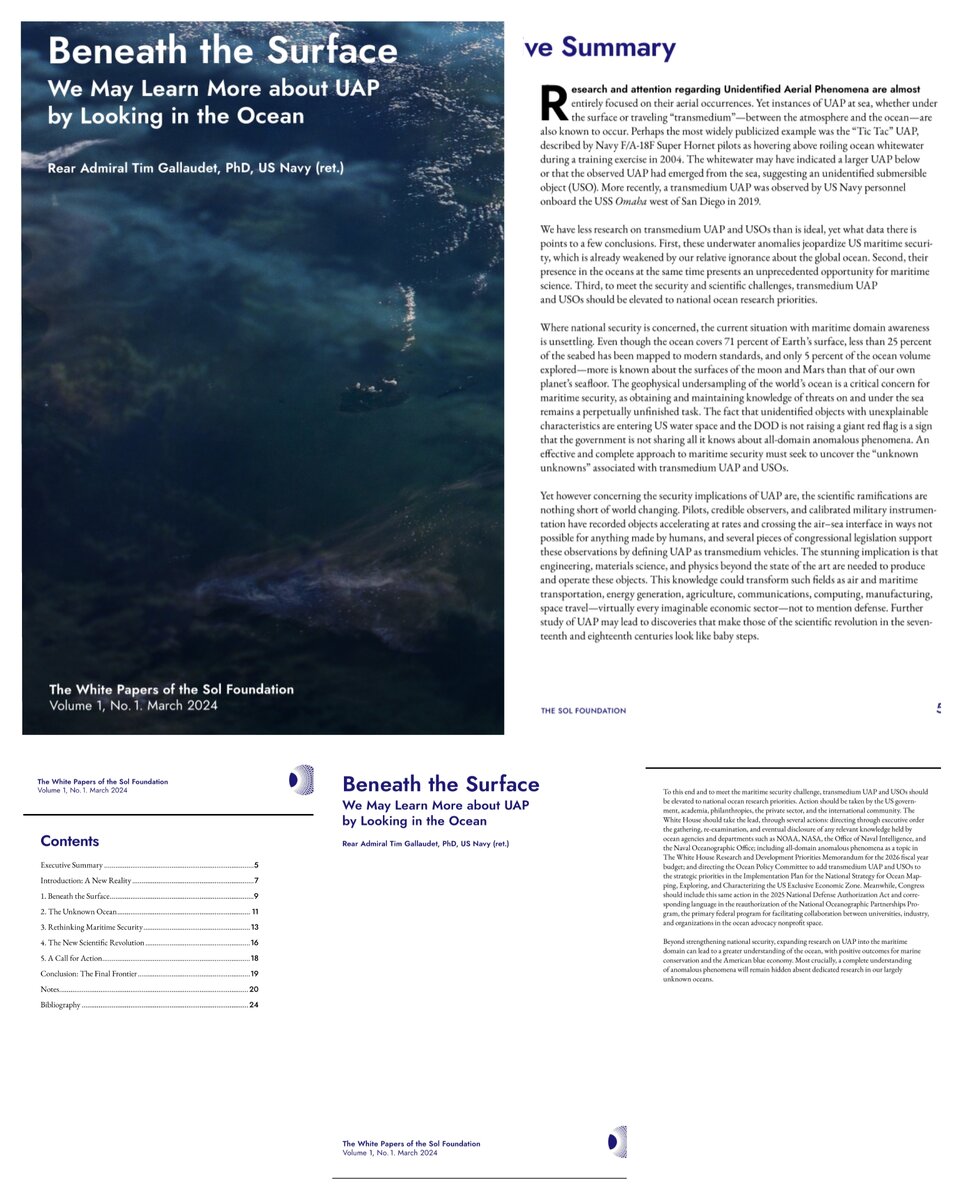 Отрывок из "Белой Книги" адмирала США Тима Галлодета. 