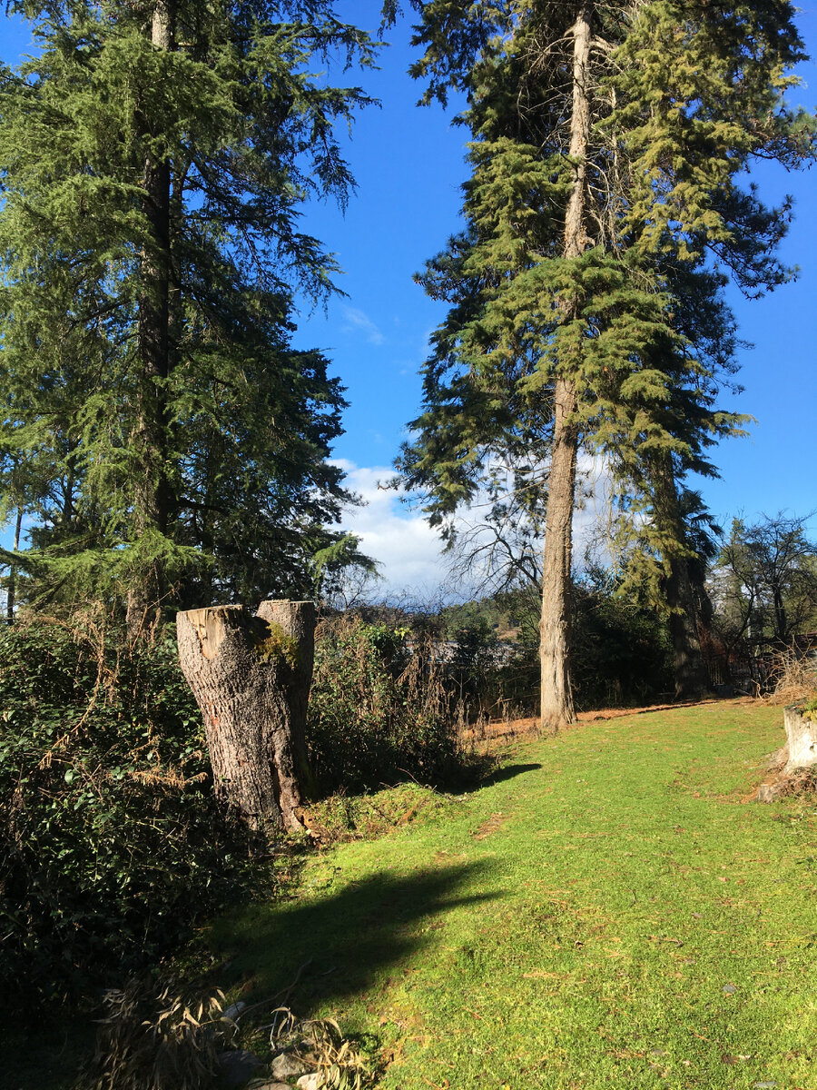 Места для прогулок