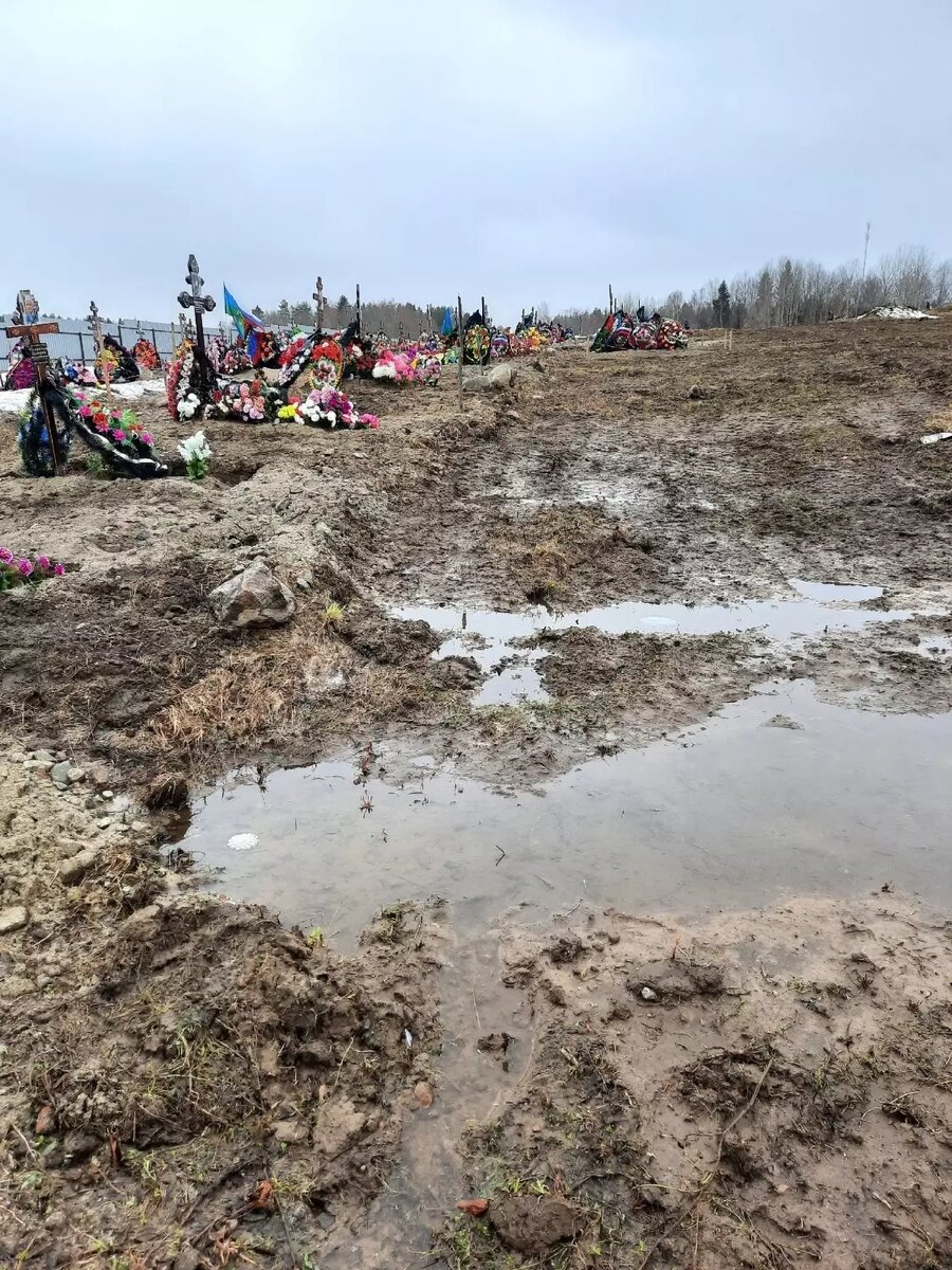     Источник: Подслушано в Суоярви / vk