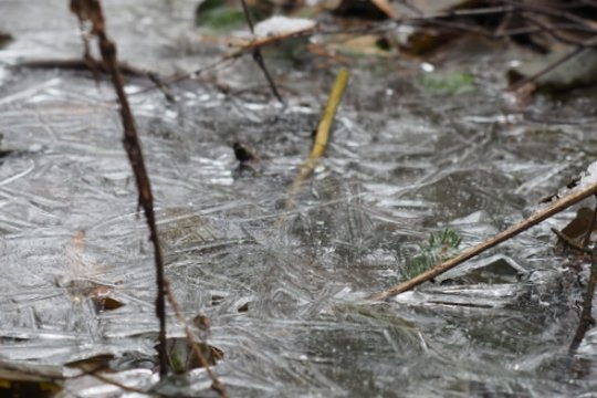    «Кошмар начнется 17 апреля и продлится подряд». Метеорологи рассказали, к чему готовиться