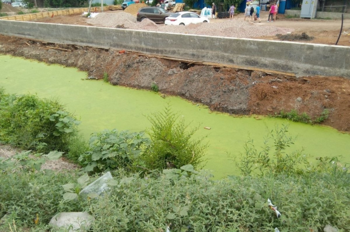    Ранее река Песчанка пугала горожан своим нездоровым цветом