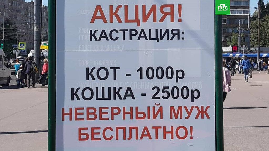 Эта наружная реклама содержит информацию о ценах на кастрацию животных, но также включает неуместную шутку, сравнивая стоимость кастрации мужчин с животными. Такой контент может быть воспринят как оскорбительный и непрофессиональный, а также может вызвать негативную реакцию у прохожих и повлиять на репутацию клиники. 