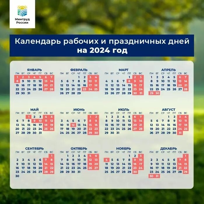     Источник: Минтруд РФ