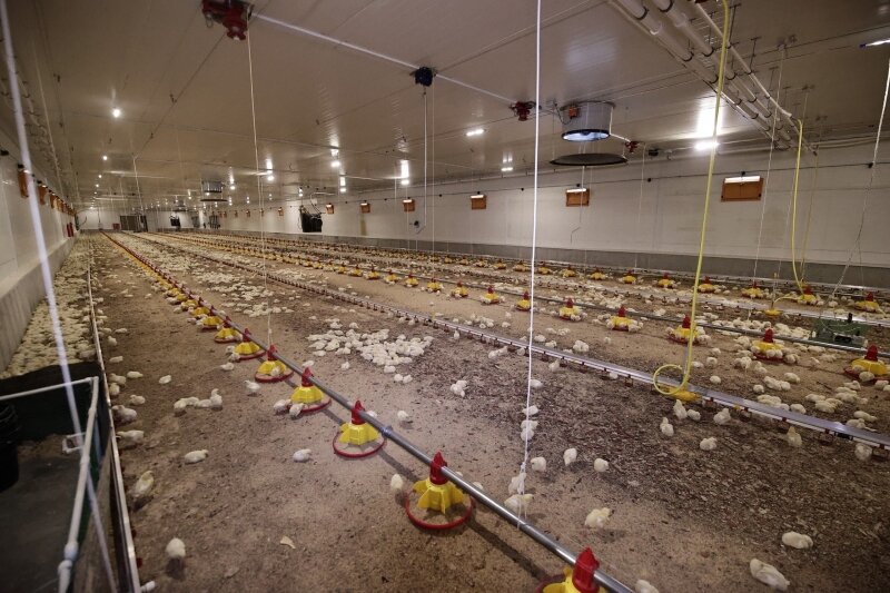    Фото: Правительство Ульяновской области