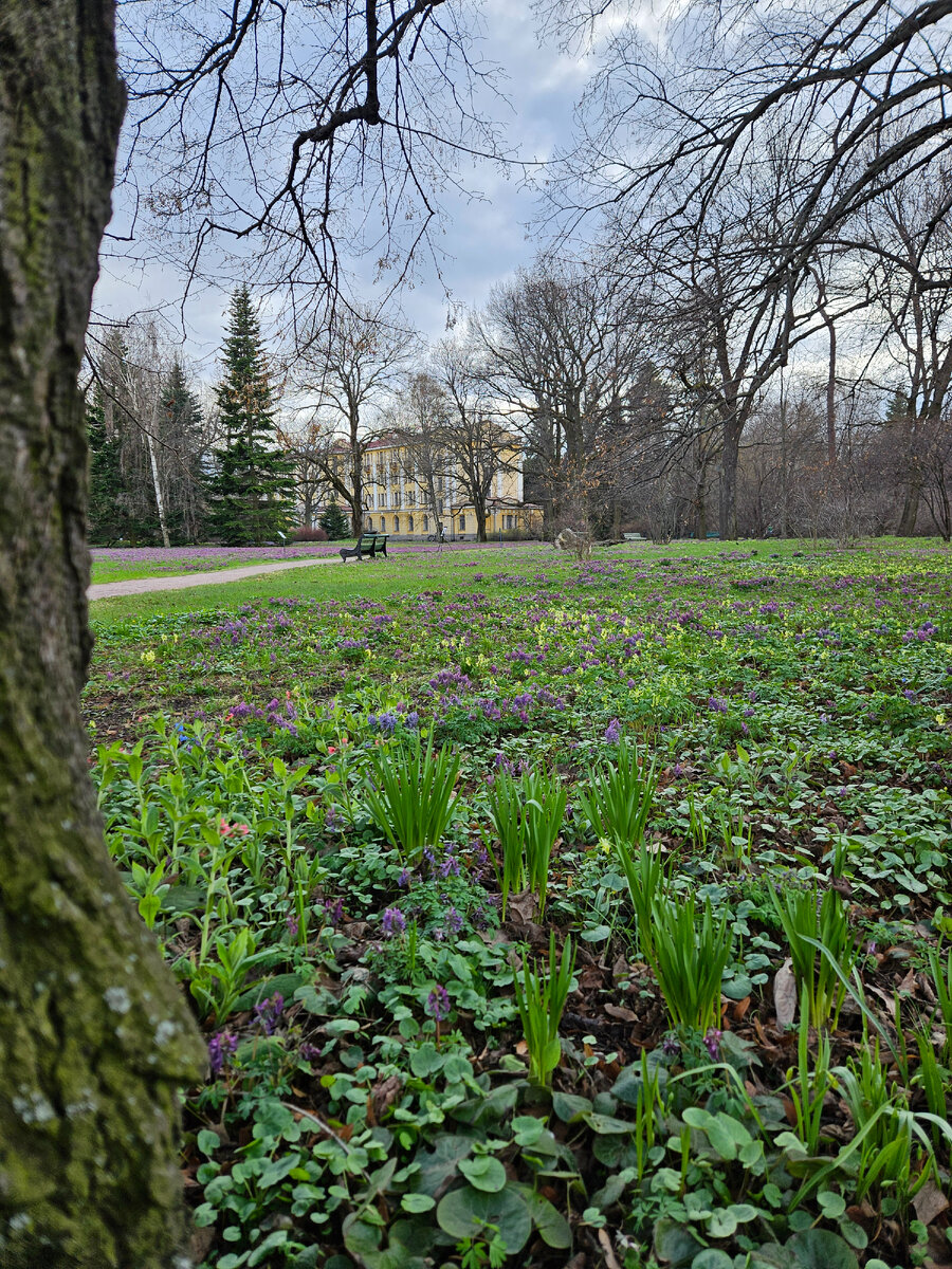 Ботанический сад Санкт-Петербурга (фотография автора)