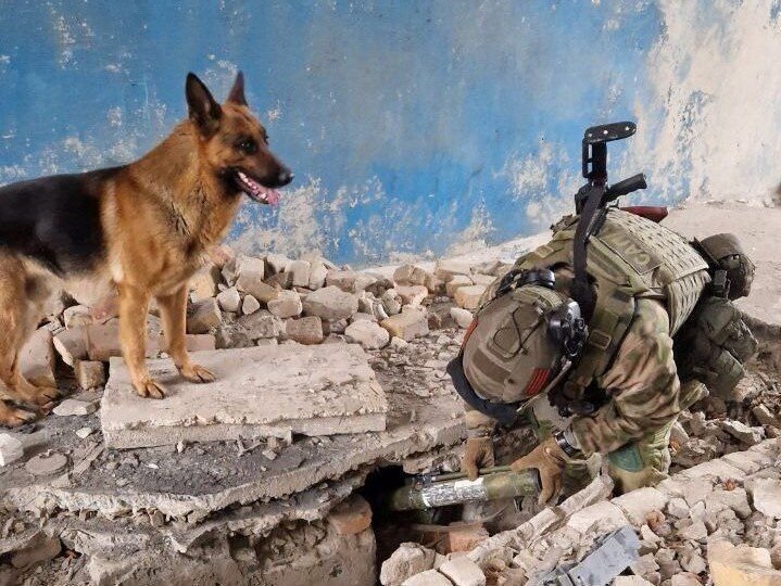    Росгвардия