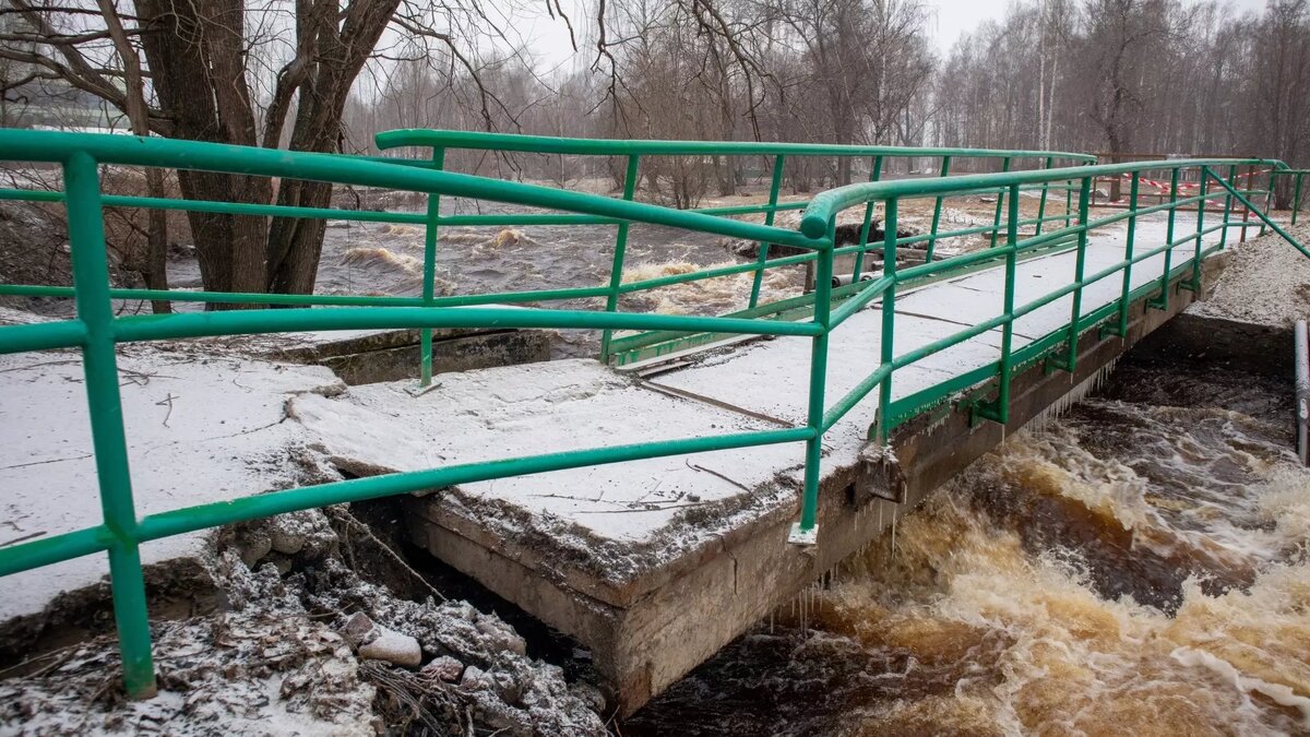     Источник: Александр Пауков / vk