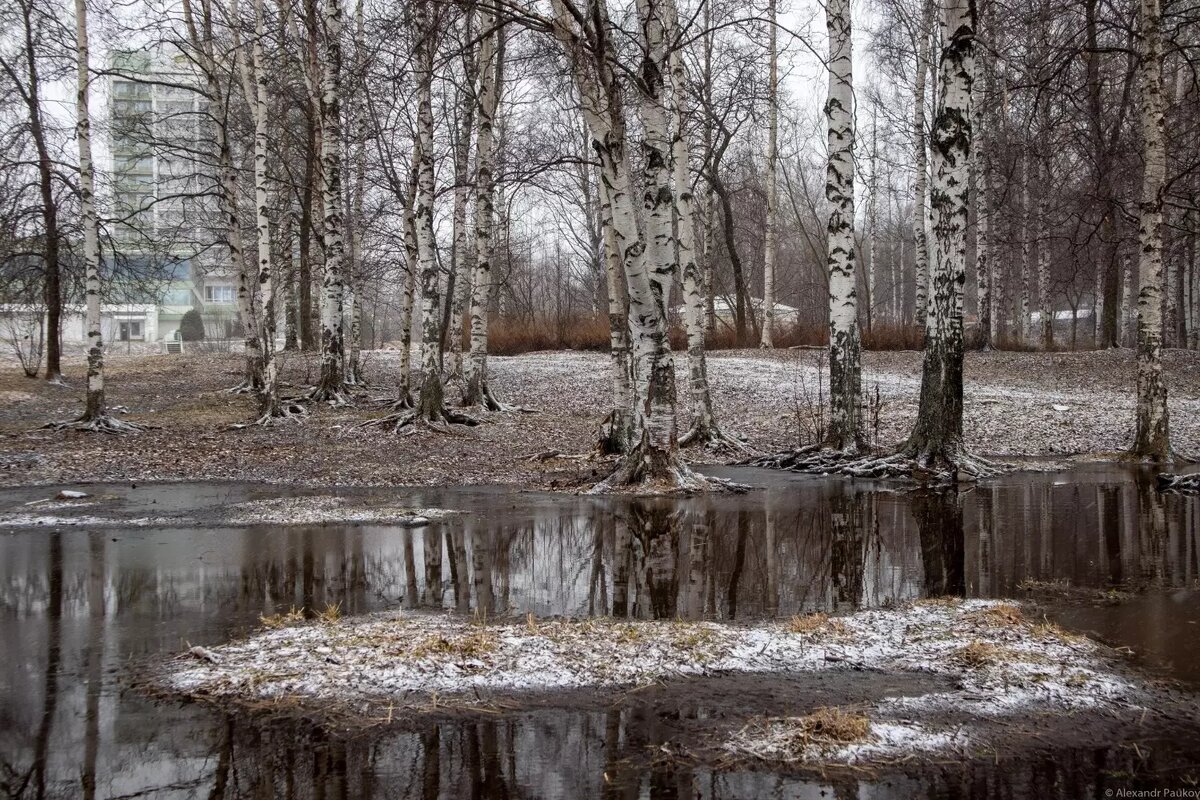     Источник: Александр Пауков / vk