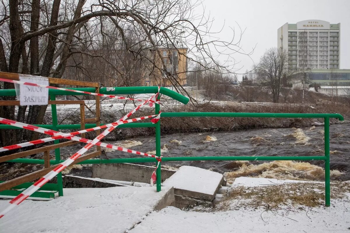     Источник: Александр Пауков / vk