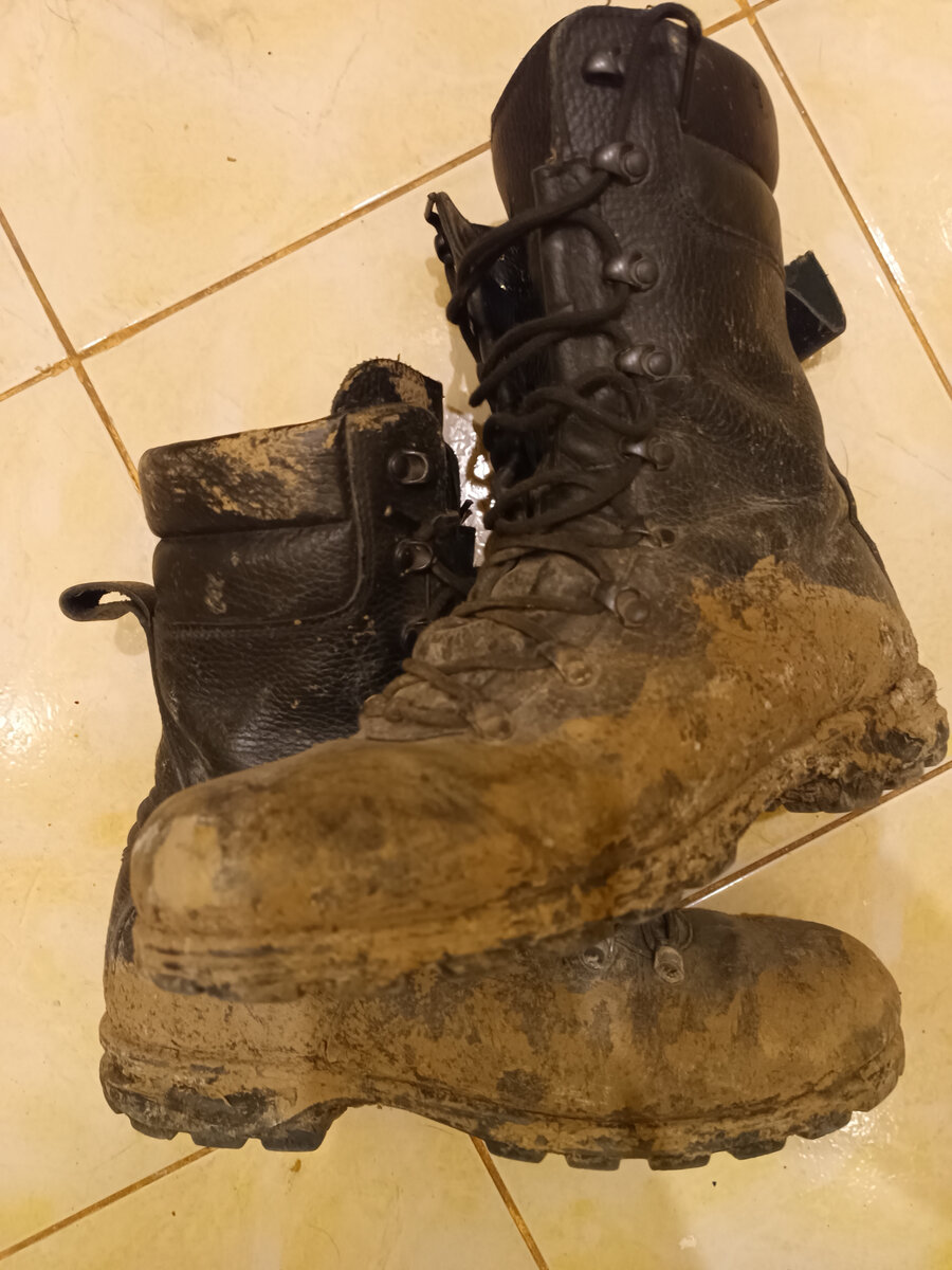 Примерно так выглядели Фарадей 443 незадолго до написания материала