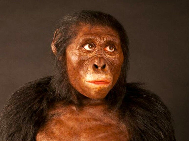 Самка австралопитека Люси, жившая 3,2 млн. лет назад. Фото с сайта https://sn-gazeta.ru/