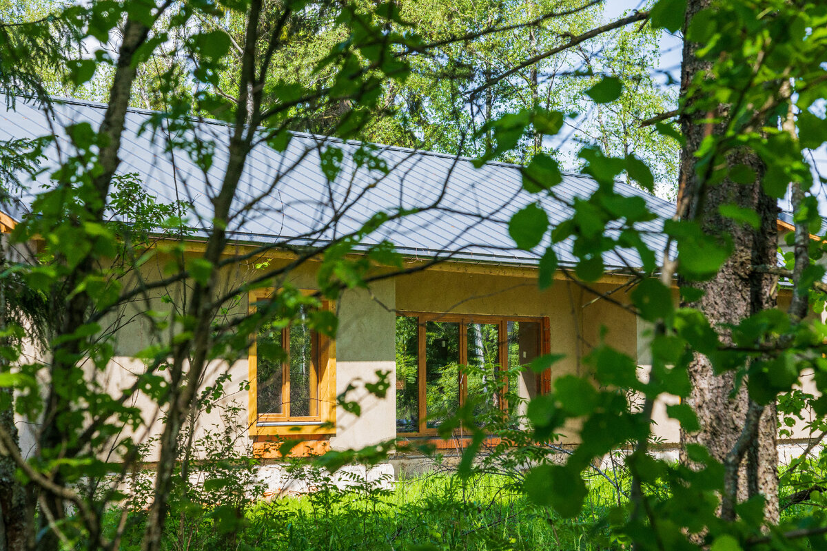 КП Остров в лесу