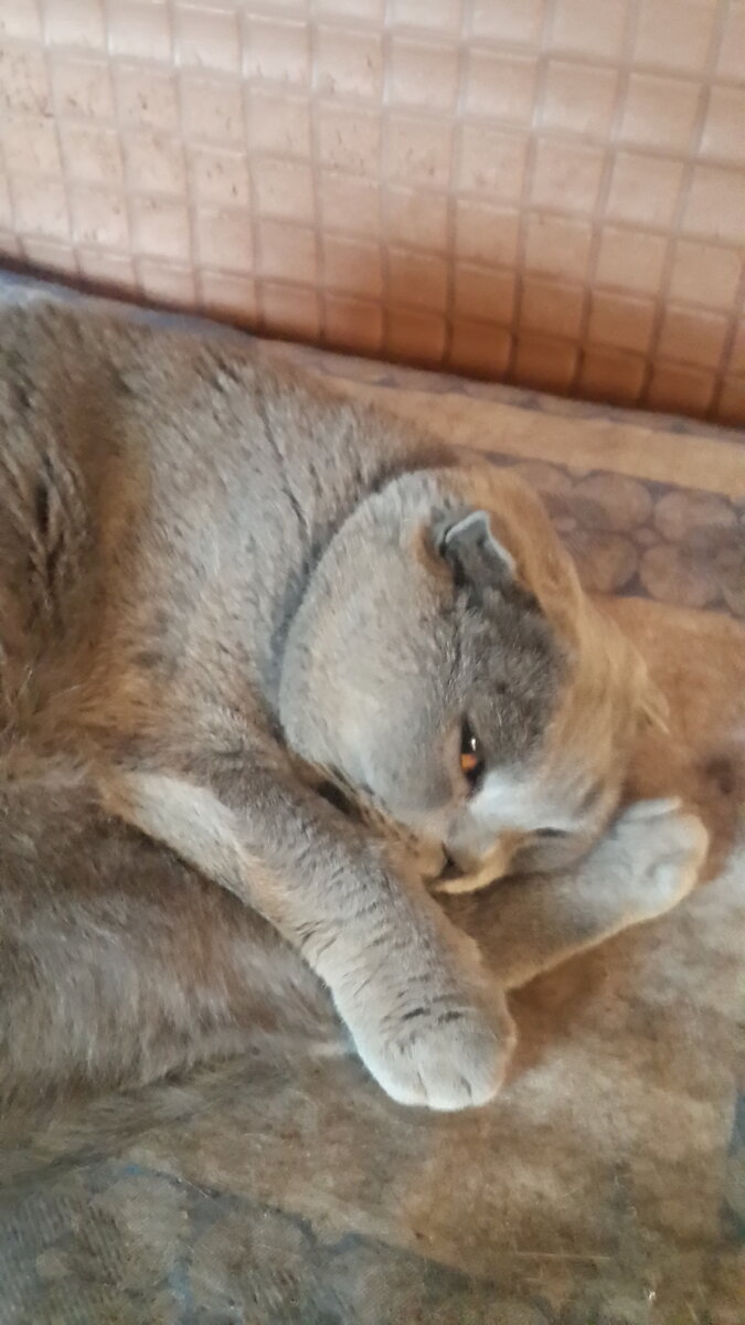 Фото из личного архива.