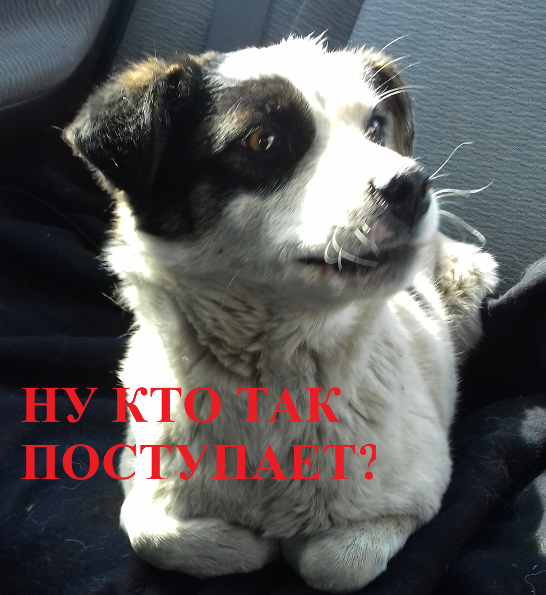 фото из личного архива