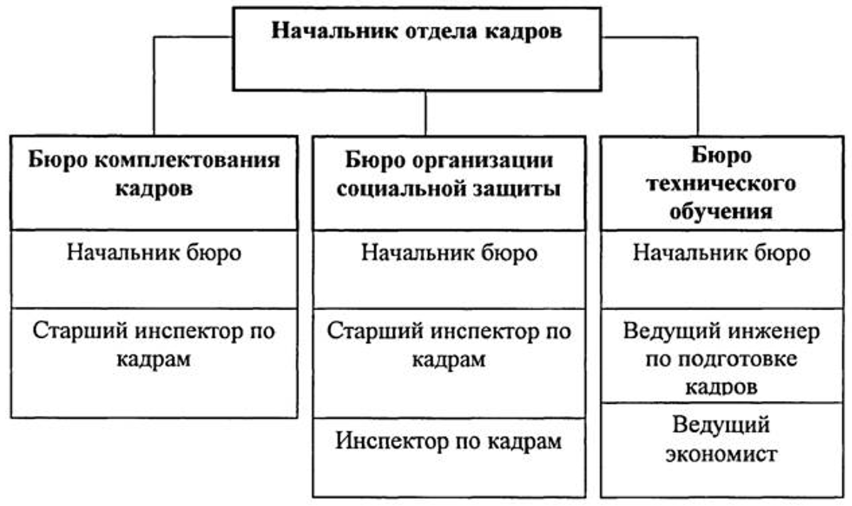 Информация из отдела кадров