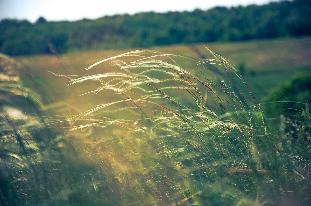 Фото из интернета