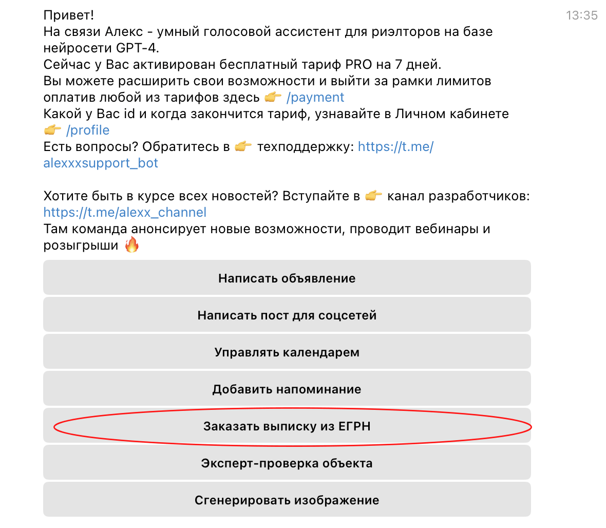 Как быстро получить выписку из ЕГРН с помощью чат-бота для риелторов | Как  риэлтор на технологии подсел | Дзен