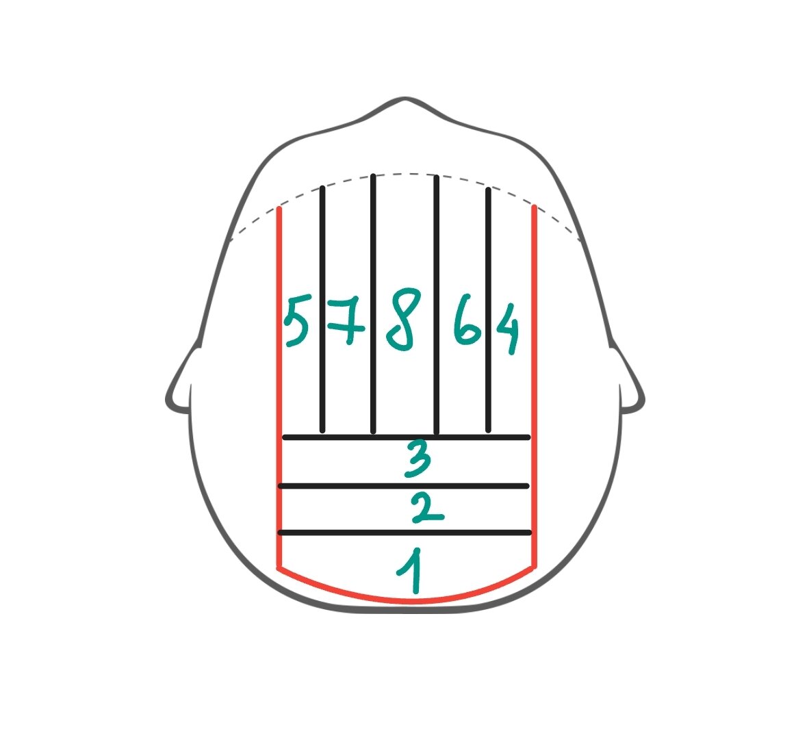 Схема мелирования волос в топовой зоне. Получилась 3 пряди со стороны затылка и 5 прядей в топовой зоне. 