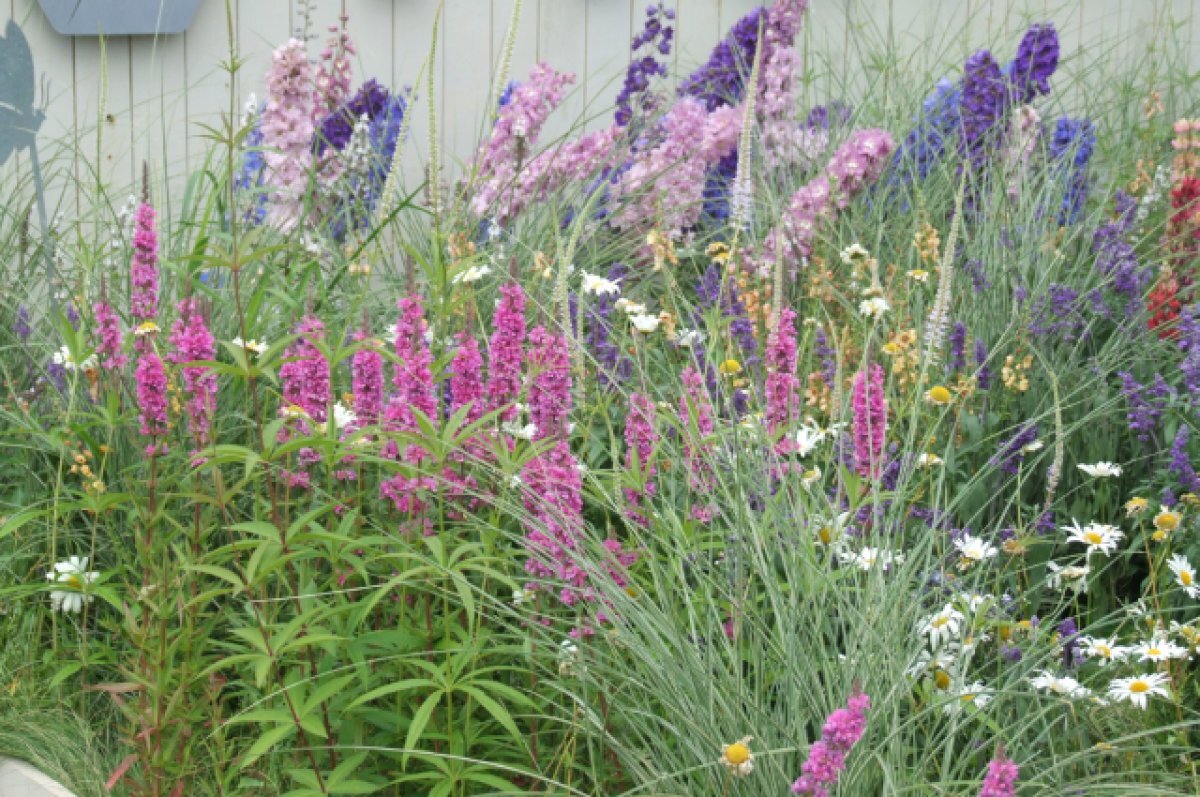    Свыше 2 тысяч квадратных метров цветников разобьют в Нижнем Новгороде