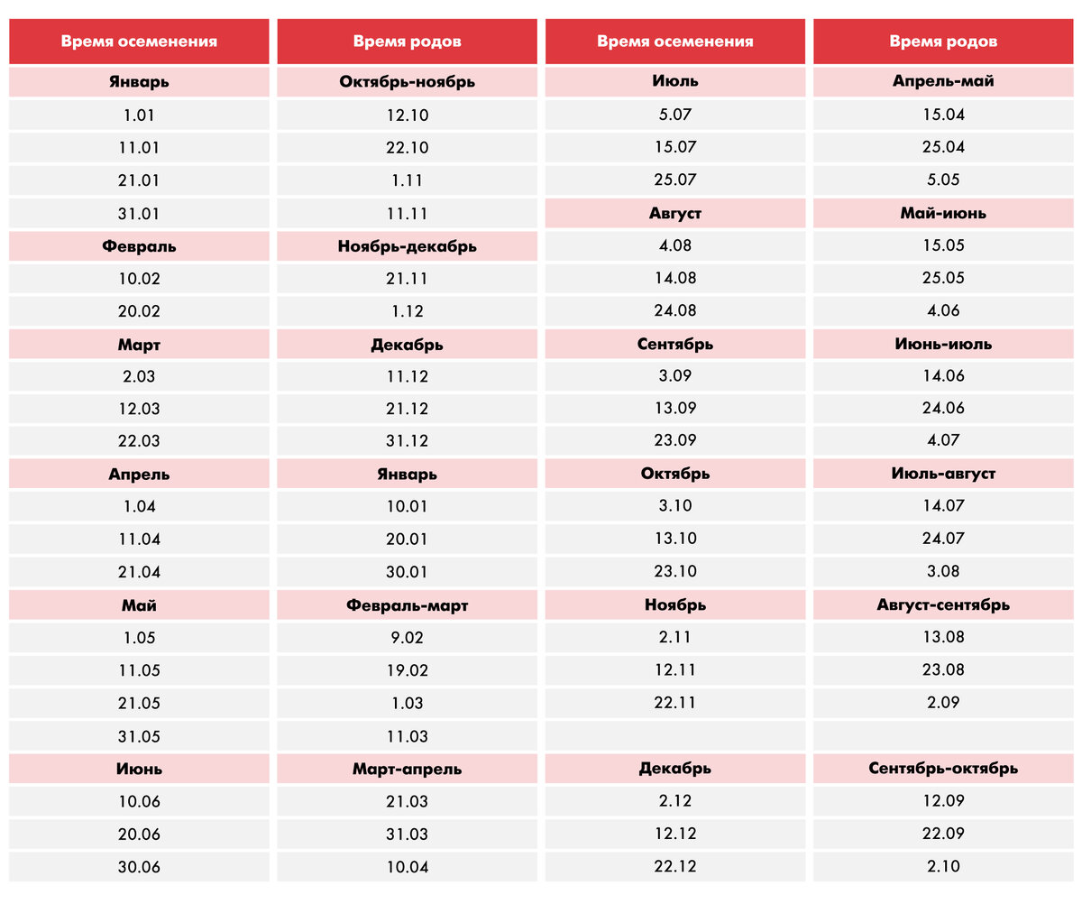 Расчет даты отела по дате осеменения