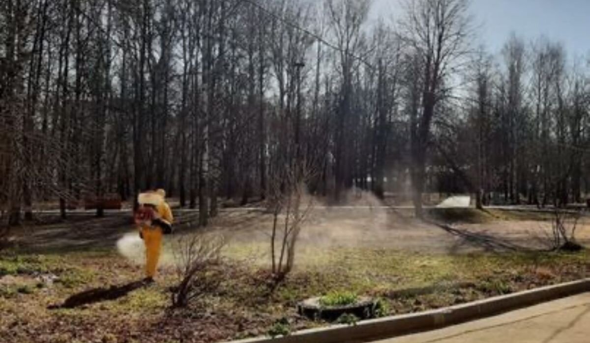     Акарицидная обработка местности. Источник: admgor.nnov.ru Автор фото: Администрация Нижнего Новгорода