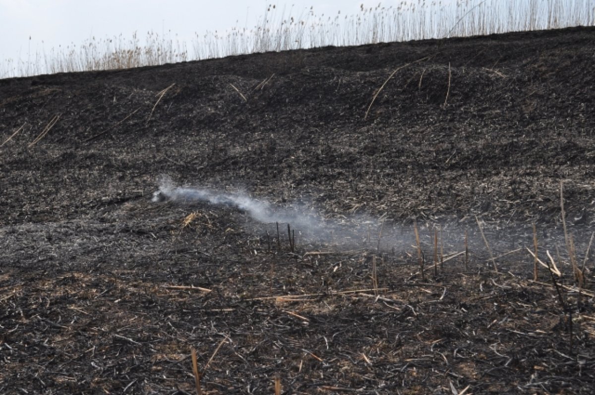    В Астрахани крупный пожар может спалить жилые дома