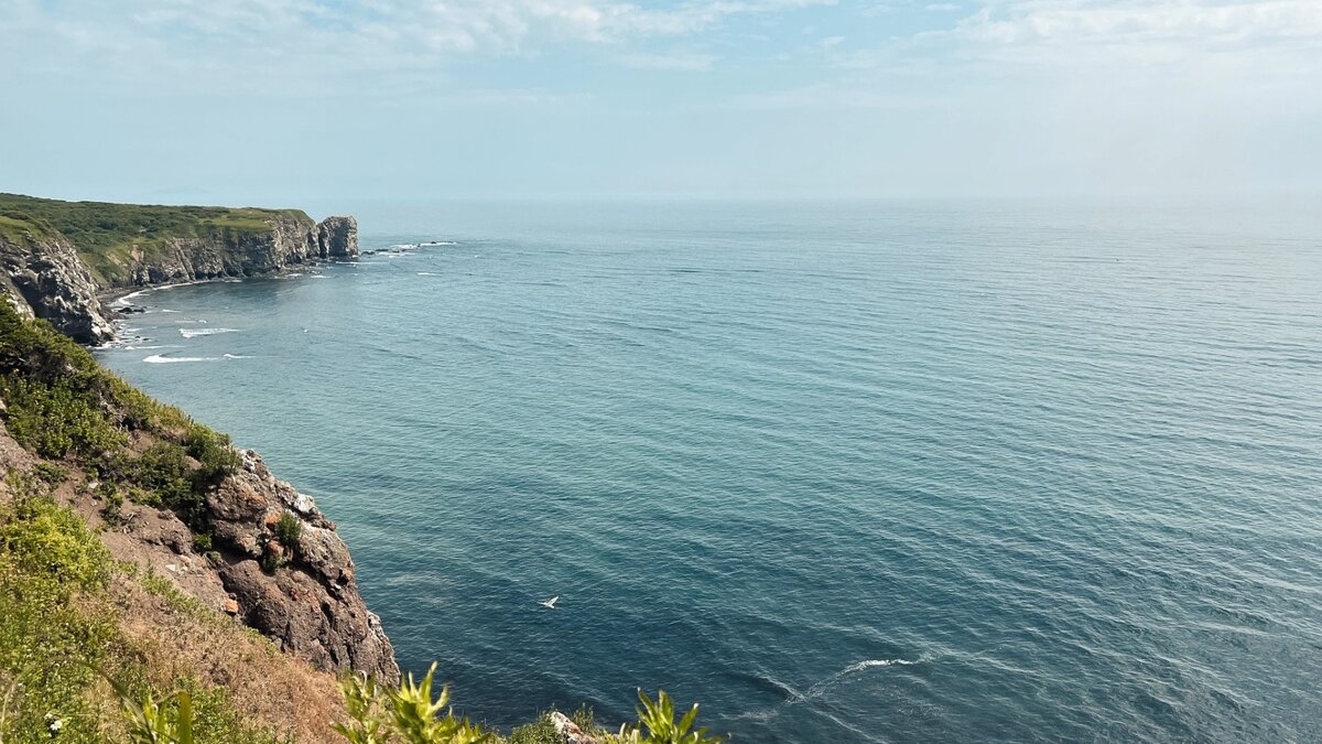     Источник: 1MI