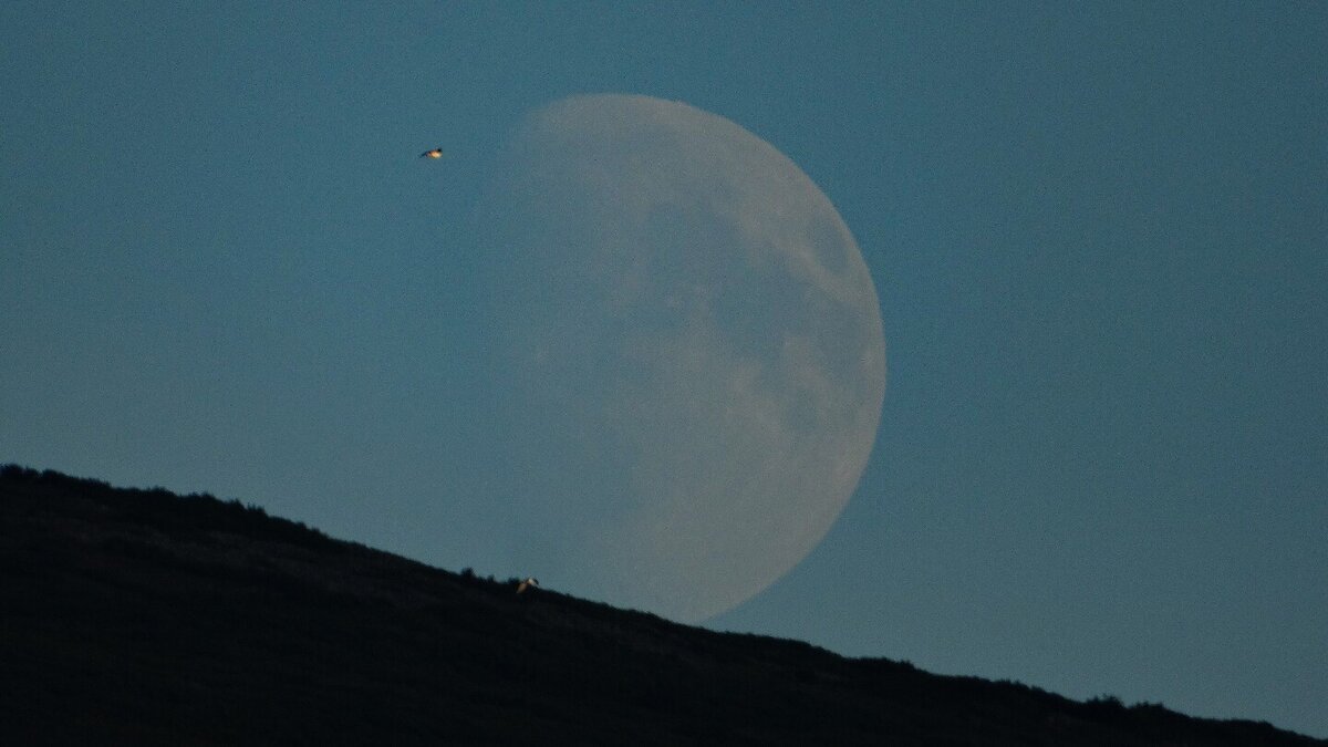    Луна над полуостровом Старицкого в г. Магадан. Фото: Antonchenko Vlad