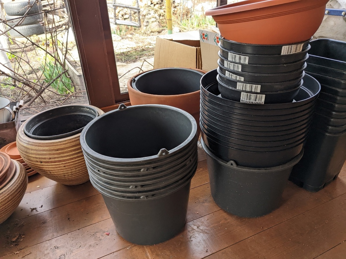 Примерка после зимы накопиельства