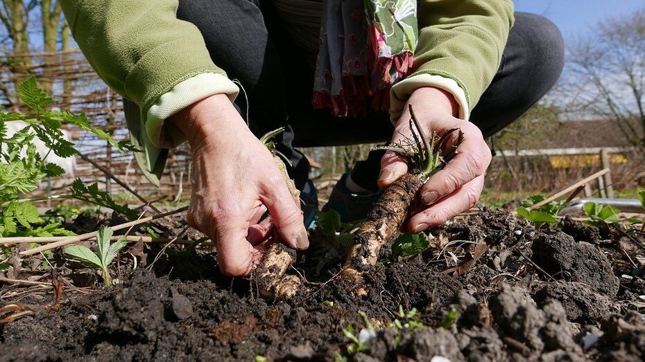 Фото здесь и далее ShutterStock/Fotodom.ru