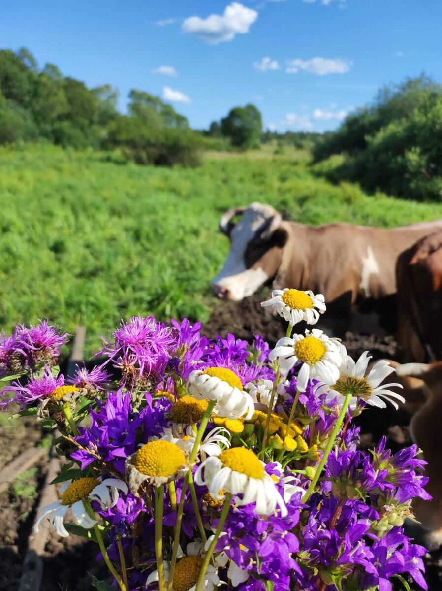Мой талисман Лада