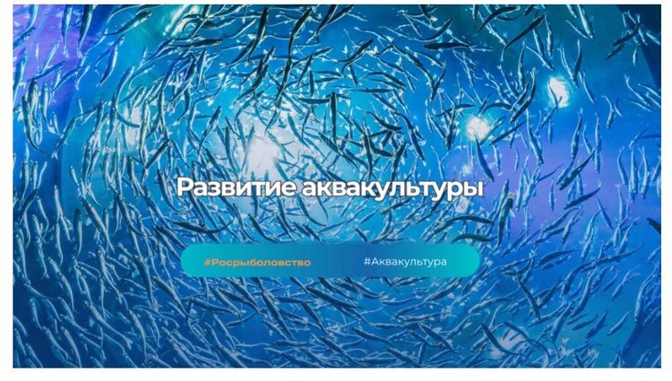    Развитие аквакультуры - в каждый регион: инвестпример Башкортостана