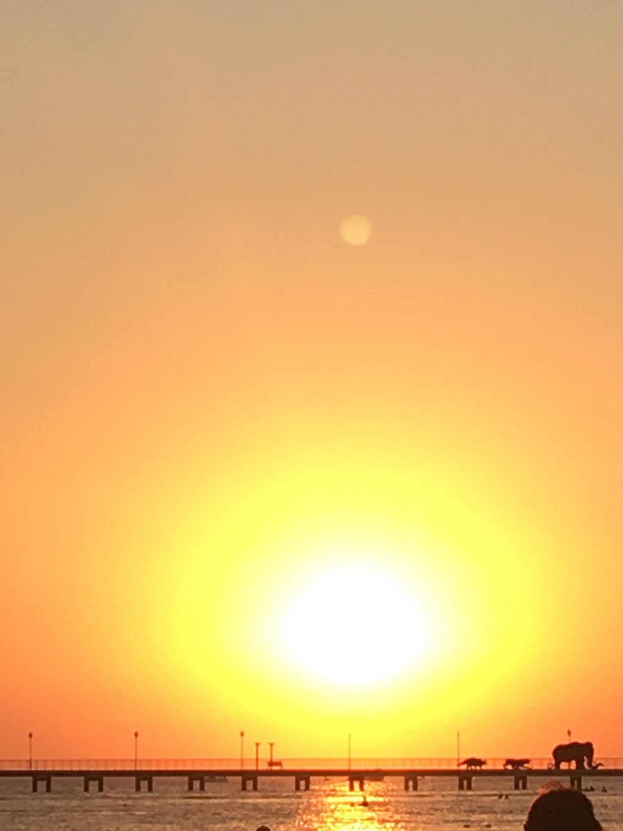 Море нас ждёт всегда...