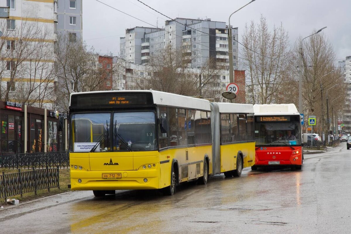 Пермские власти назвали маршруты, где появятся автобусы-«гармошки» | Рифей  Пермь | Дзен