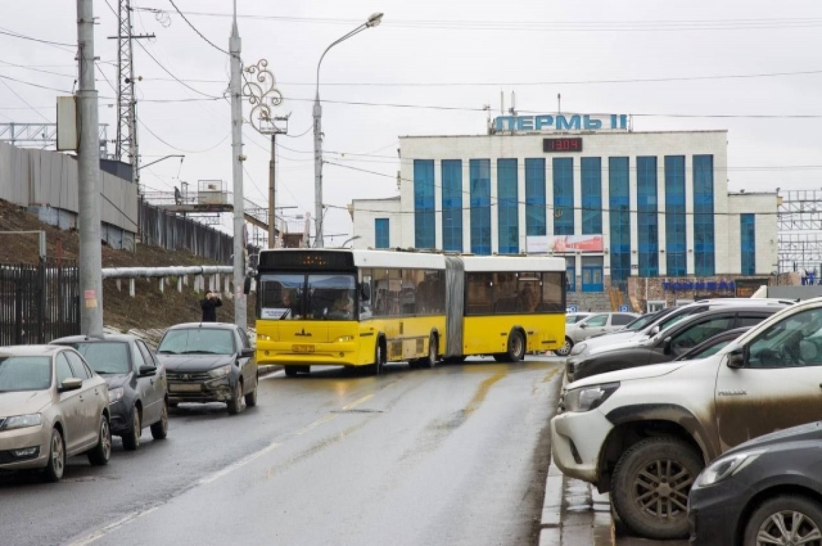    В Перми назвали маршруты, на которых могут появиться автобусы-«гармошки»