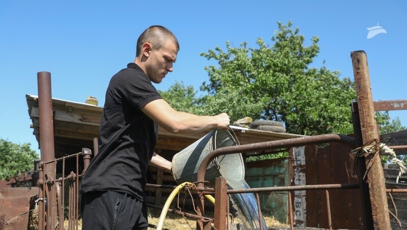      Фото: Дмитрий Ахмадуллин / / ИА «Победа26»