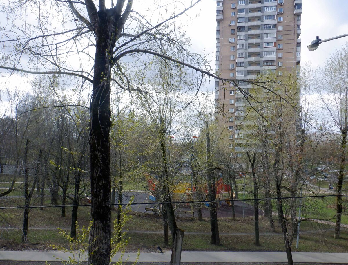 Милая Верхоянская улица в Бабушкинском районе города Москвы.