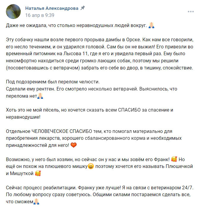 Фото Франка и пост от куратора на странице ВК. 