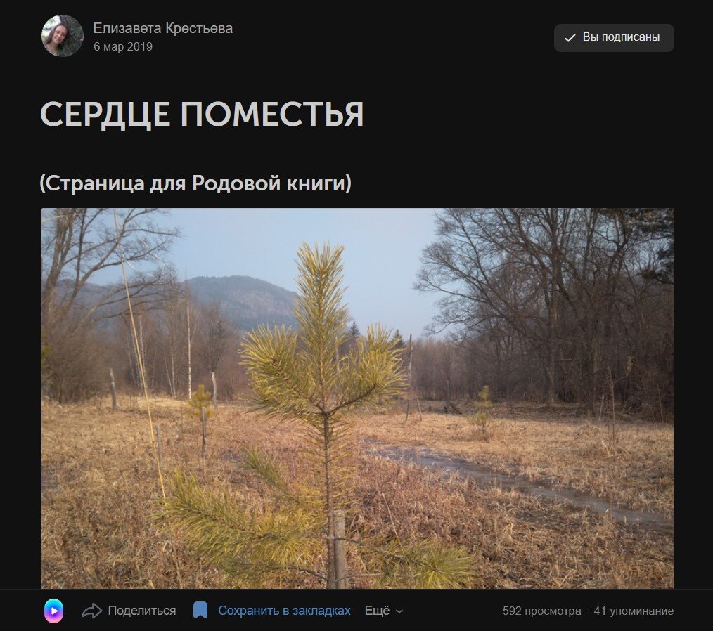 Скриншот страницы в ВК