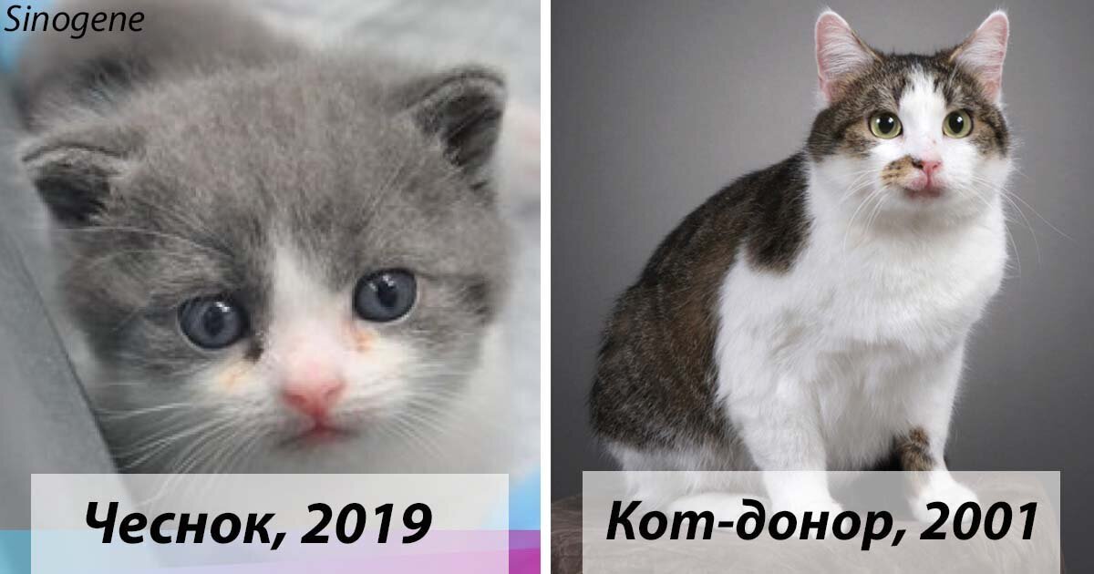 фото из Яндекс картинок