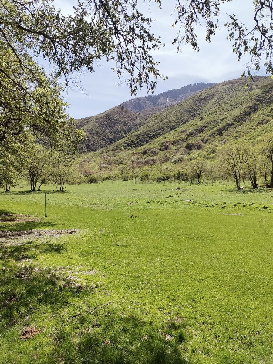 Раняя весна. Наше время. Место, в котором произошла эта история.