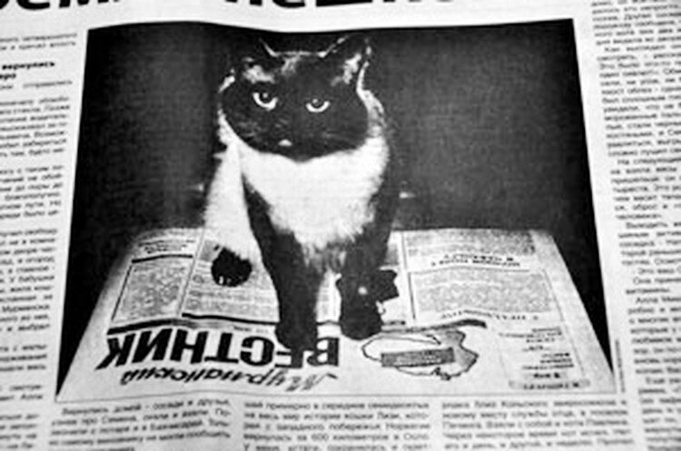 Фото: Лев Федосеев